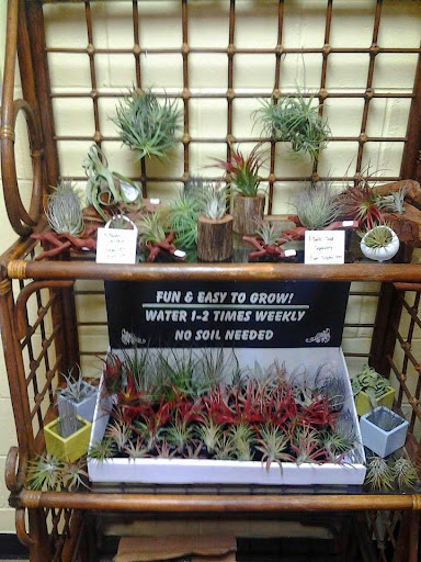 Florist «Forget-Me-Not Florist», reviews and photos, 1083 Park Ave, Cranston, RI 02910, USA