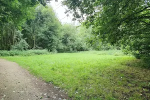 Park "De Echelpoel" image
