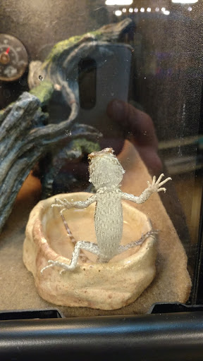 Pet Supply Store «PetSmart», reviews and photos, 1110 NY-112, Port Jefferson Station, NY 11776, USA