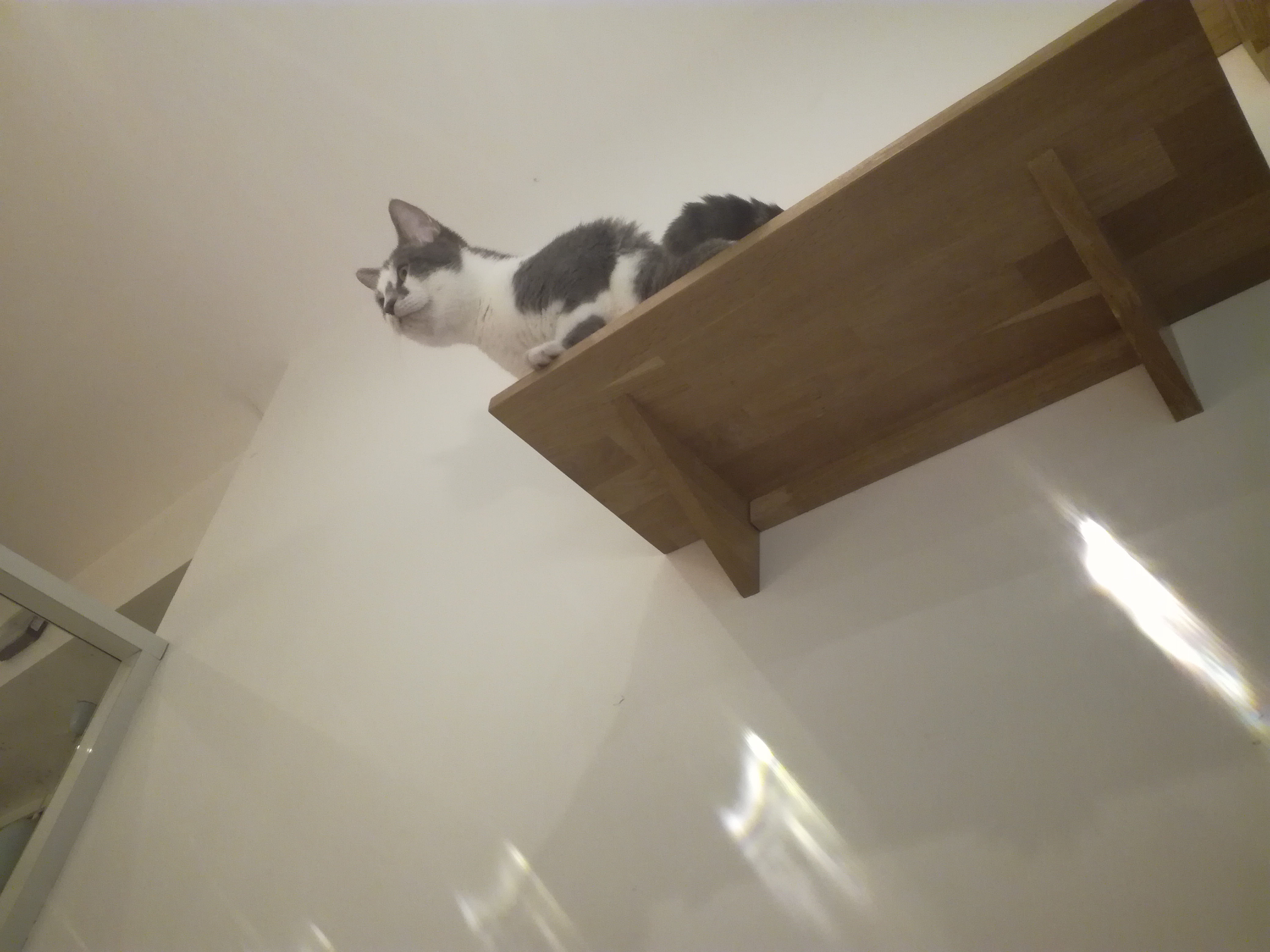 Photo n° 3 de l'avis de Alyssa.t fait le 29/12/2018 à 09:11