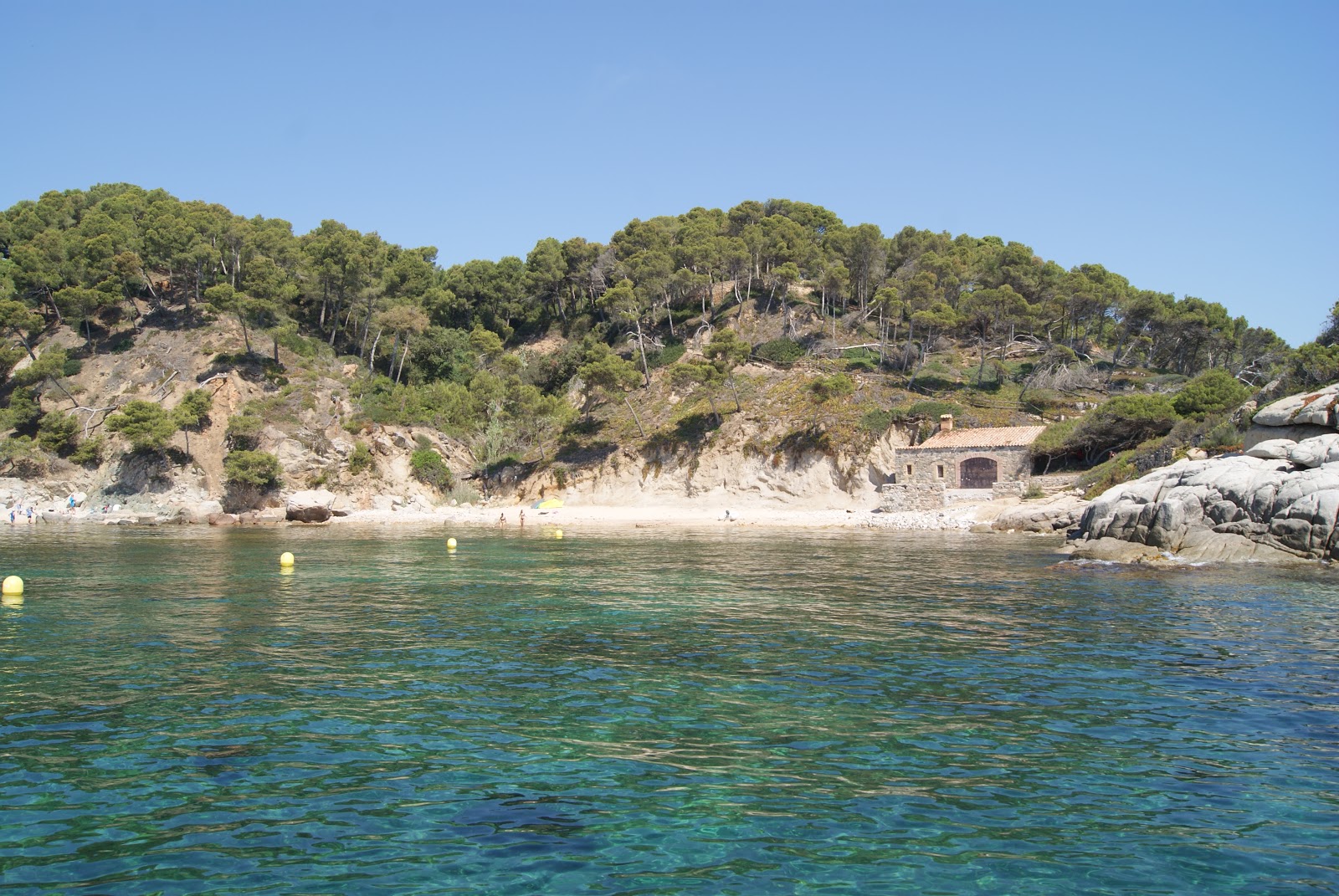 Foto di Cala Cap de Planes con molto pulito livello di pulizia