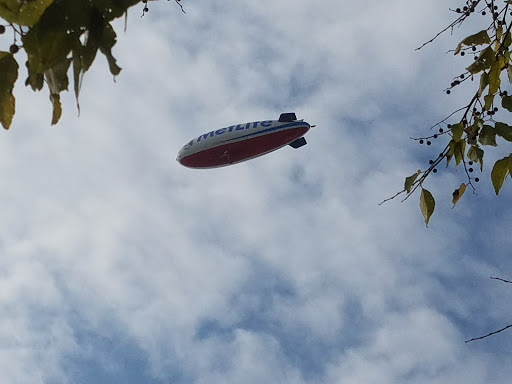 Dog Park «Murfreesboro Bark Park», reviews and photos, 1540 W College St, Murfreesboro, TN 37130, USA