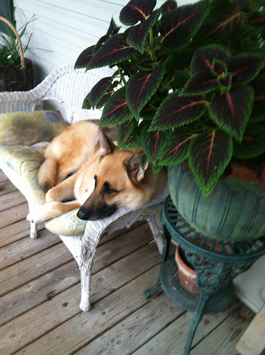 Water Park «Boro Beach», reviews and photos, 2310 Memorial Blvd, Murfreesboro, TN 37130, USA