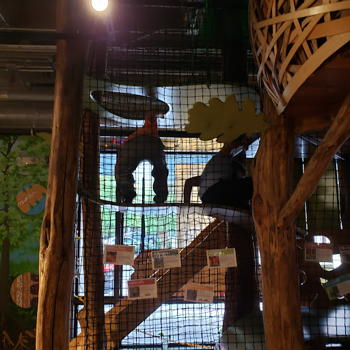 Science Museum «Asheville Museum of Science», reviews and photos, 43 Patton Ave, Asheville, NC 28801, USA