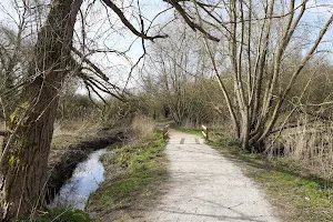 Caldy Nature Park image