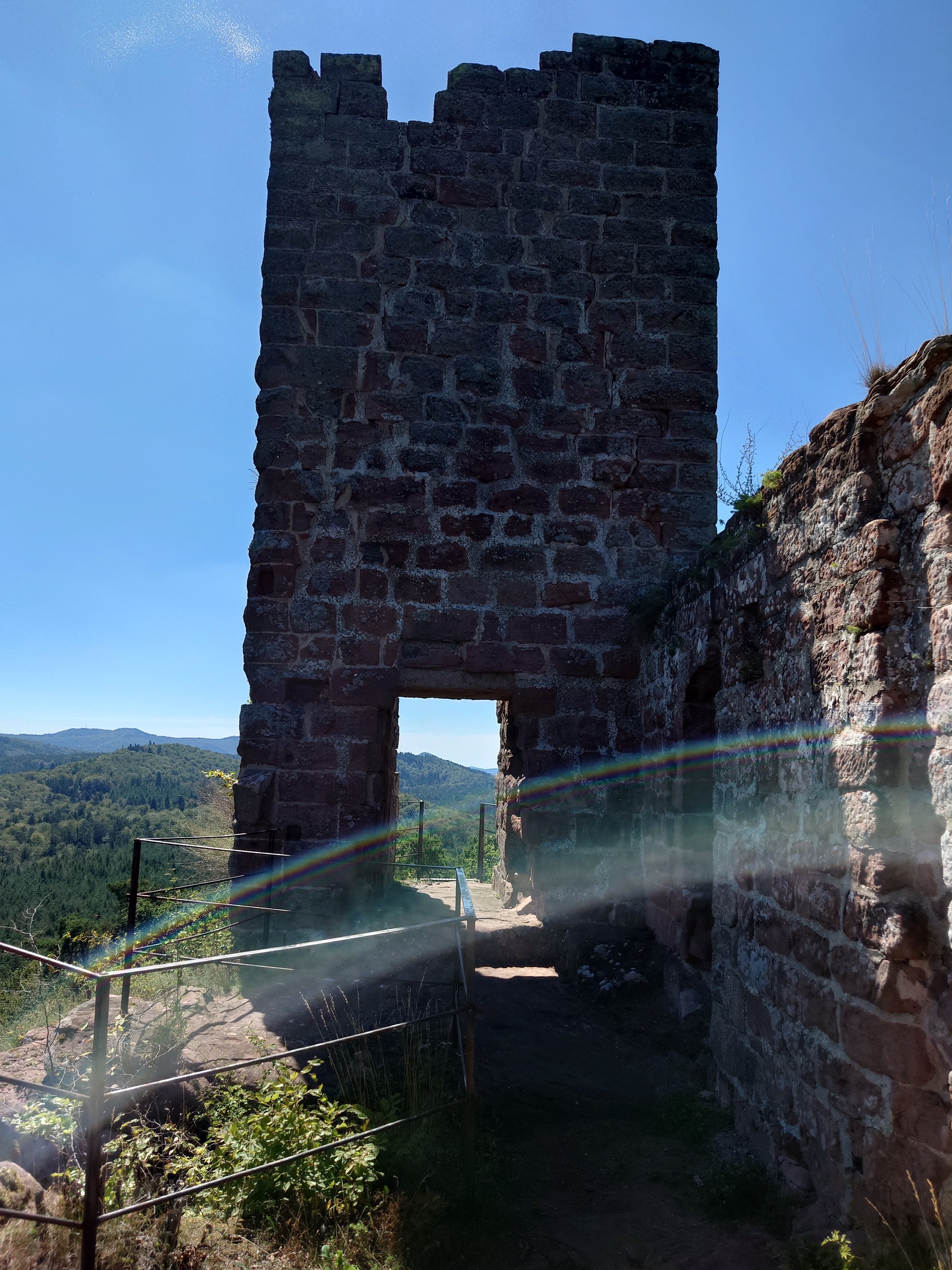 Photo n° 8 de l'avis de Sébastien.e fait le 16/08/2023 à 15:02