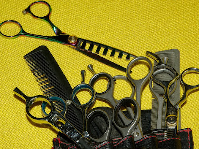 Alexano Coiffure - Coiffeur Bourg en Bresse (Perruques, Soins Capillaires) à Bourg-en-Bresse