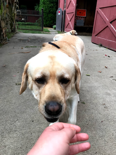 Farm «B & B Flower Farm», reviews and photos, 668 Jones Hill Rd, West Haven, CT 06516, USA