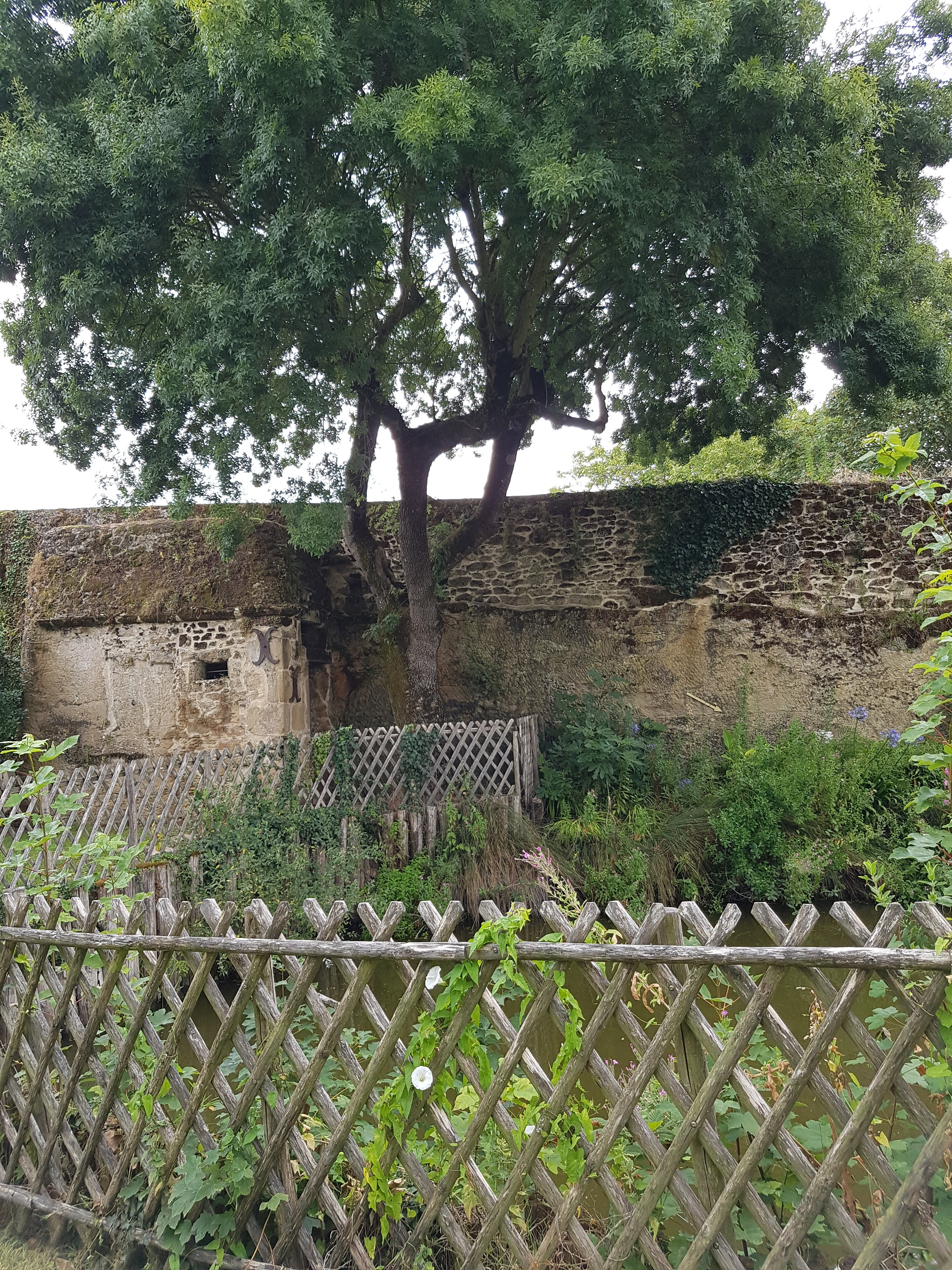 Photo n° 3 de l'avis de Hajer.a fait le 25/07/2020 à 12:52