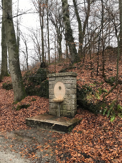 Hohenweg-Brunnen