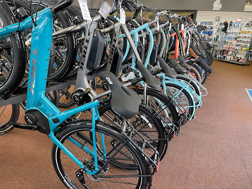Bicycle Store «Al Petri & Sons Bicycle Center», reviews and photos, 2160 Fort St, Lincoln Park, MI 48146, USA