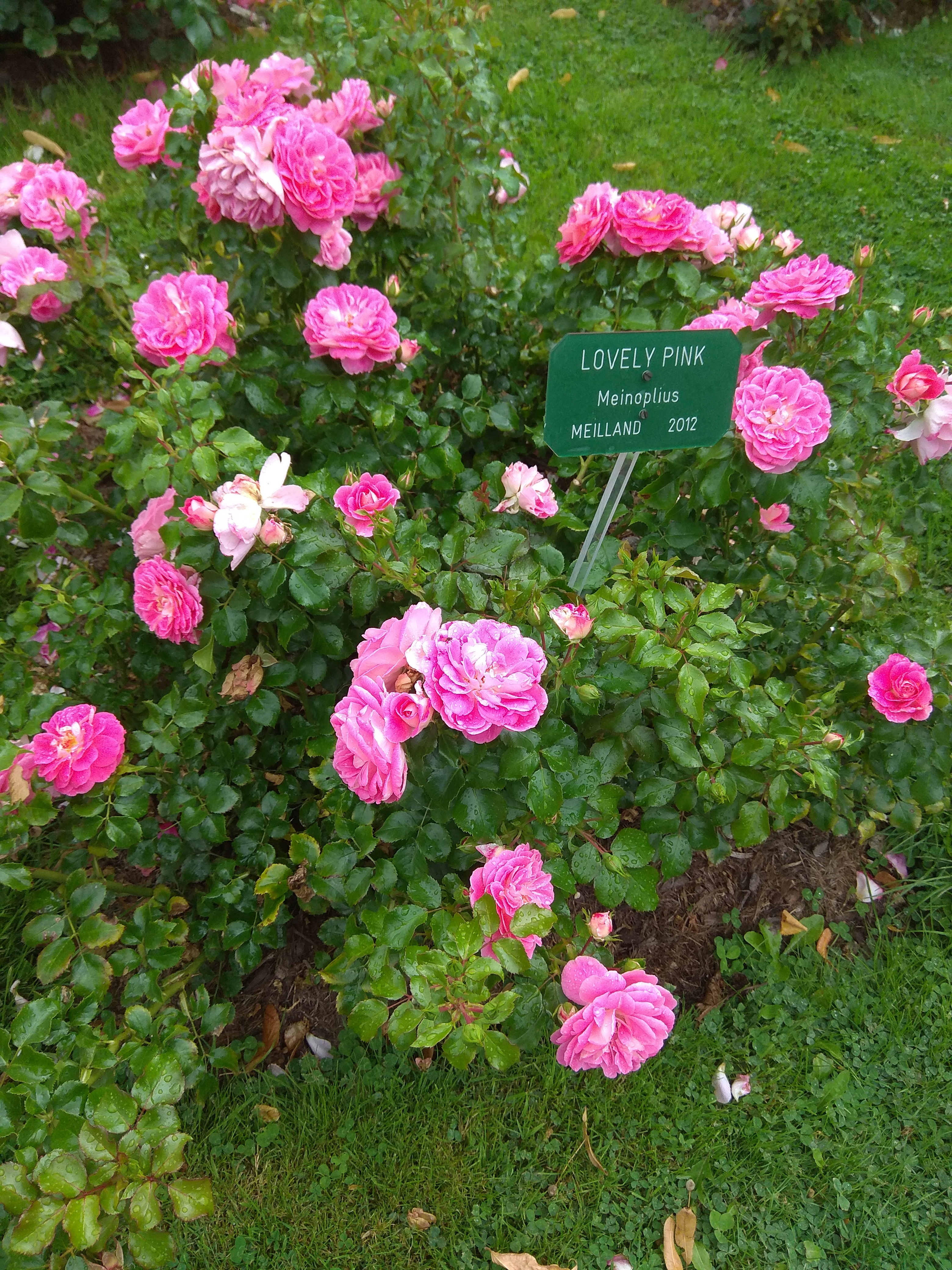 Photo n° 4 de l'avis de N..O fait le 11/08/2019 à 15:50