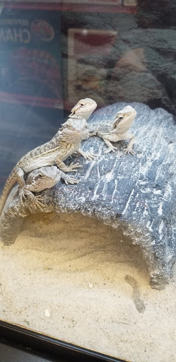 Pet Supply Store «Petco Animal Supplies», reviews and photos, 848 N Colony Rd c, Wallingford, CT 06492, USA