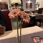 Photo n°11 de l'avis de Becky.o fait le 01/11/2023 à 22:09 sur le  Restaurant im Romantik Hotel Ahrenberg à Bad Sooden-Allendorf