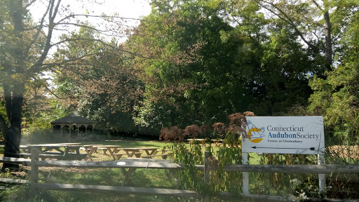 Tourist Attraction «Connecticut Audubon Center», reviews and photos, 1361 Main St, Glastonbury, CT 06033, USA