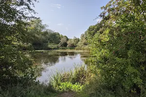 Regional Park image