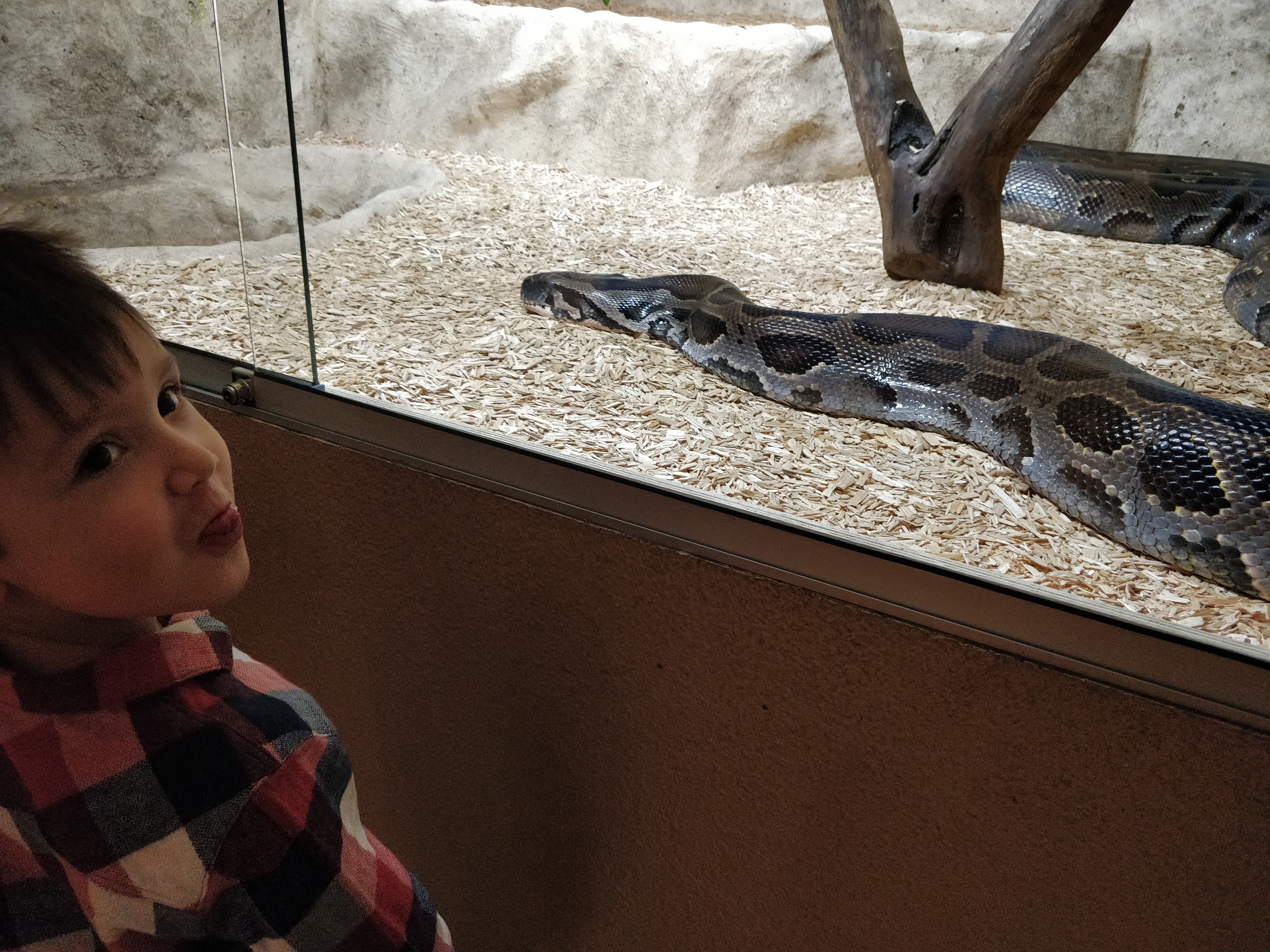 Photo n° 1 de l'avis de Romain.r fait le 18/02/2020 à 16:14