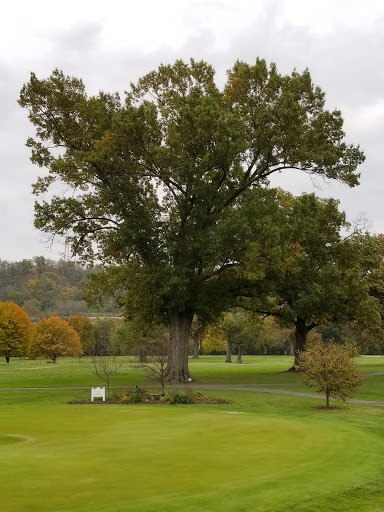 Golf Course «Twin Oaks Golf & Plantation Club», reviews and photos, 450 E 43rd St, Covington, KY 41015, USA