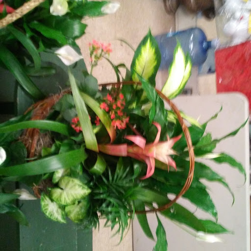 Florist «Rhodes Florist», reviews and photos, 7442 S Cottage Grove Ave, Chicago, IL 60619, USA