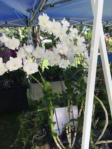 Botanical Garden «Heathcote Botanical Gardens», reviews and photos, 210 Savannah Rd, Fort Pierce, FL 34982, USA