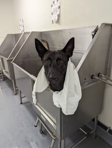 Pet Supply Store «Centinela Feed & Pet Supplies», reviews and photos, 11055 W Pico Blvd, Los Angeles, CA 90064, USA