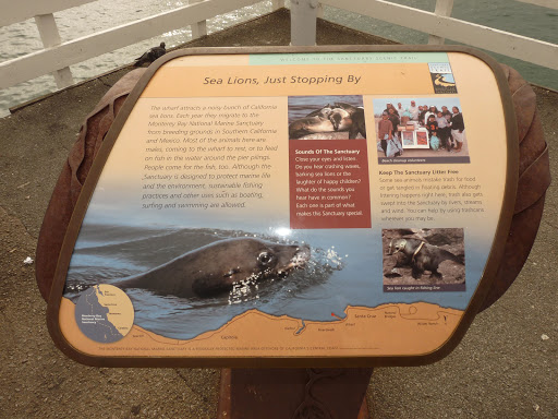 Coffee Shop «Santa Cruz Coffee Roasting Co.», reviews and photos, 1330 Pacific Ave, Santa Cruz, CA 95060, USA