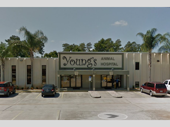 Young's Animal Hospital