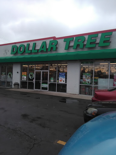 Dollar Store «Dollar Tree», reviews and photos, 333 Mannheim Rd B, Bellwood, IL 60104, USA