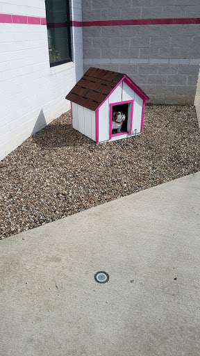 Animal Shelter «One of A Kind Pet Rescue», reviews and photos, 1929 W Market St, Akron, OH 44313, USA