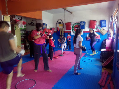 Kickboxing / Defensa Personal - Jesús Carranza 16, colonia centro, 39300 Acapulco de Juárez, Gro., Mexico