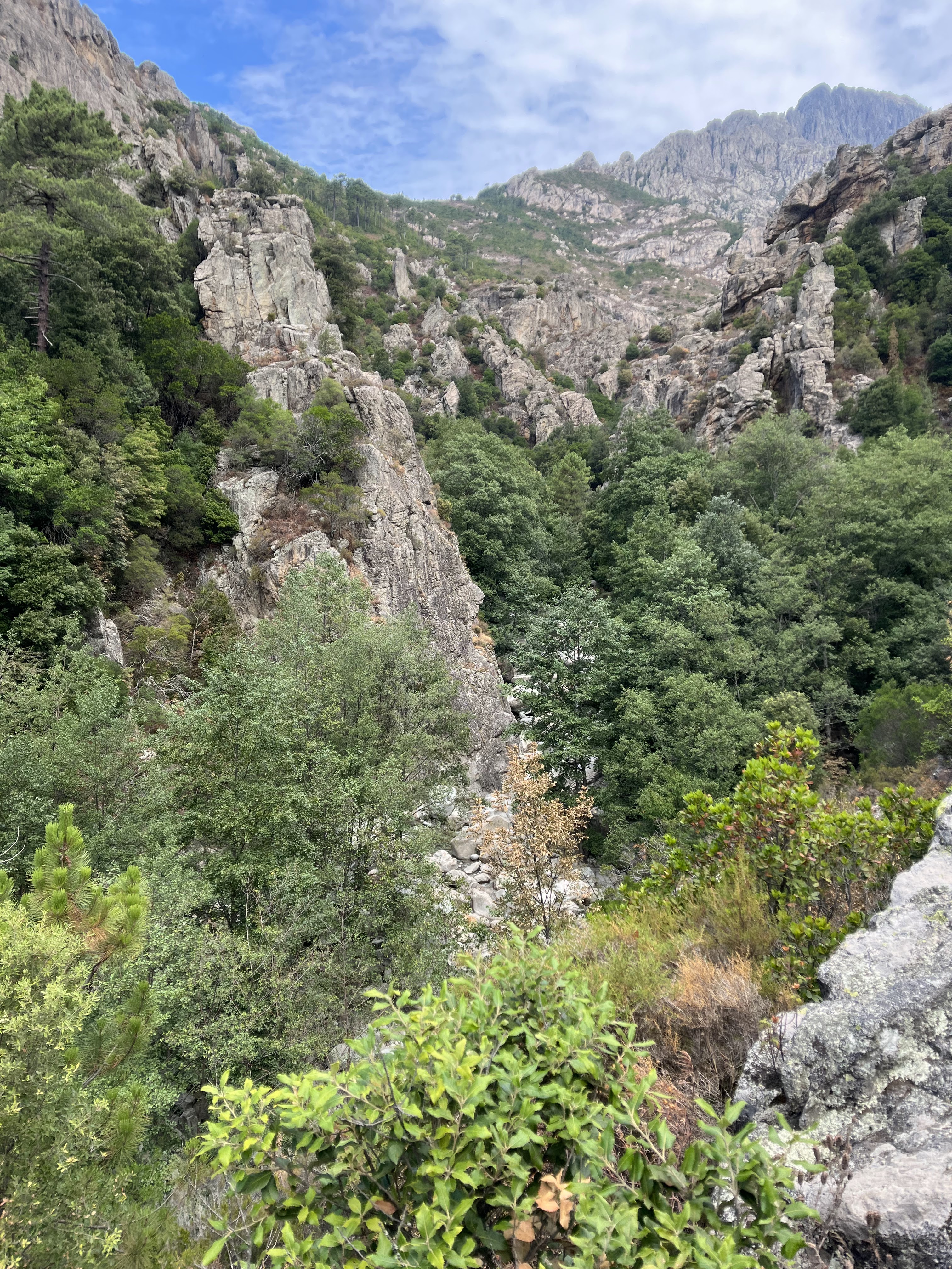 Photo n° 5 de l'avis de Giuly.e fait le 18/08/2022 à 13:01