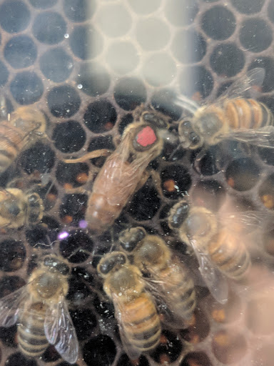 Science Museum «Adventure Science Center», reviews and photos, 800 Fort Negley Blvd, Nashville, TN 37203, USA