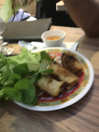 Rouleau de printemps du Restaurant vietnamien Pho Quynh à Torcy - n°2