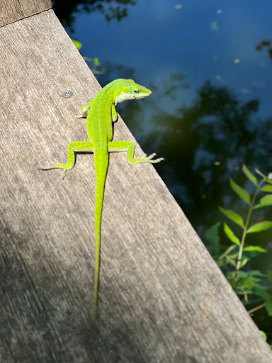 Park «Fort Worth Water Gardens», reviews and photos, 1502 Commerce St, Fort Worth, TX 76102, USA
