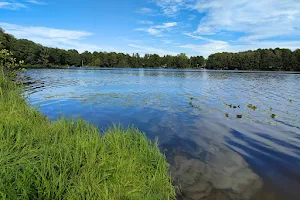 Naturepark Dahme-Heideseen image