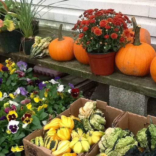 Produce Market «Highland Orchards Farm Market», reviews and photos, 1431 Foulk Rd, Wilmington, DE 19803, USA