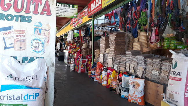 Mercado - San Vicente