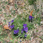 Photo n° 6 de l'avis de Corrine.o fait le 11/04/2023 à 15:59 pour Le Falgoux à Le Falgoux