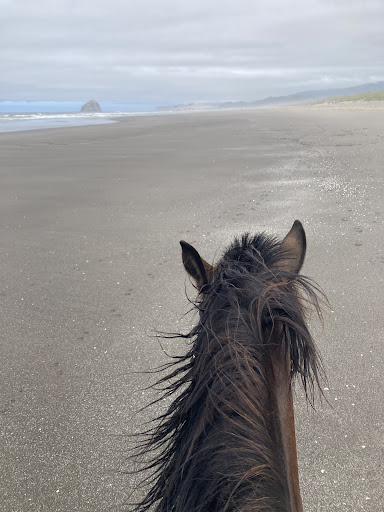 Horse Boarding Stable «Green Acres Beach & Trail Rides», reviews and photos, 5985 Pacific Ave, Cloverdale, OR 97112, USA