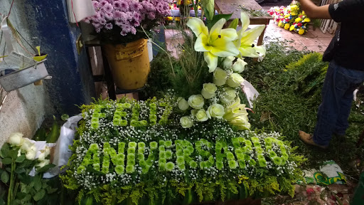 Florería D’ Ariz – Villahermosa