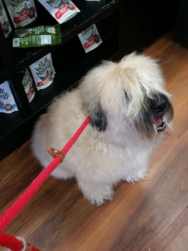 Pet Store «Pet Valu», reviews and photos, 2290 Central Park Ave, Yonkers, NY 10701, USA