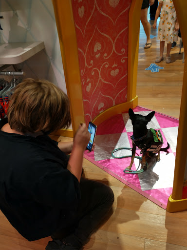 Toy Store «Disney Store», reviews and photos, 587 E Shaw Ave, Fresno, CA 93710, USA