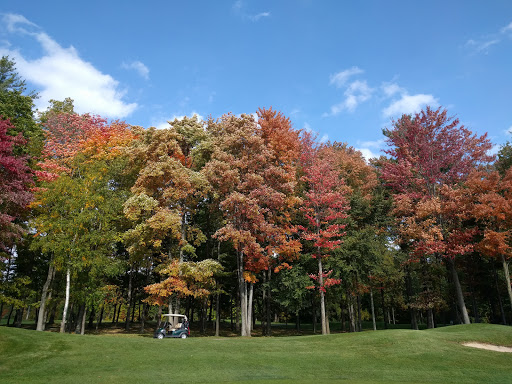 Golf Course «Cherry Creek Golf Club», reviews and photos, 52000 Cherry Creek Dr, Shelby Charter Township, MI 48316, USA