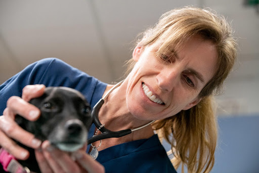 VCA TLC Pasadena Veterinary Specialty and Emergency image