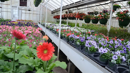 Cossairt Greenhouse & Garden Center