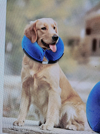 Mountain View Veterinary Services image