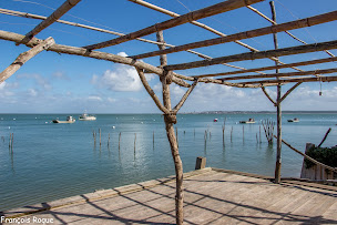 Photo n°17 de Balade village pecheurs huitre à Lège-Cap-Ferret ()