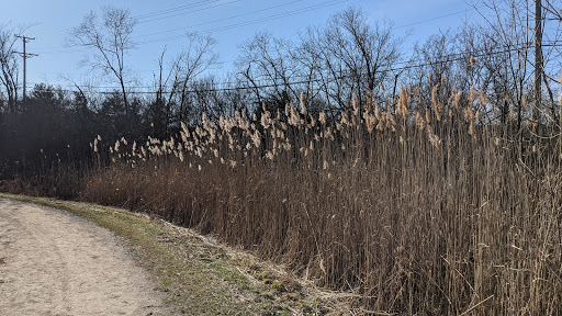 Park «Messenger Marsh», reviews and photos, S Bell Rd, Homer Glen, IL 60491, USA