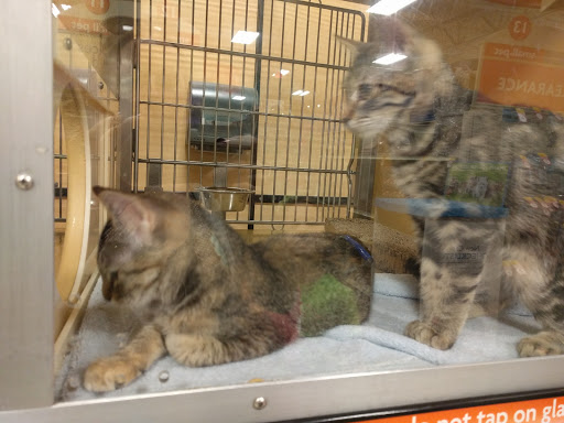 Pet Supply Store «PetSmart», reviews and photos, 1225 Industrial Rd, San Carlos, CA 94070, USA
