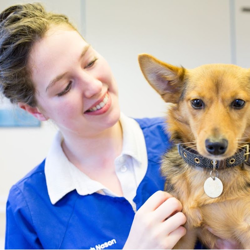 Alphavet Veterinary Centre